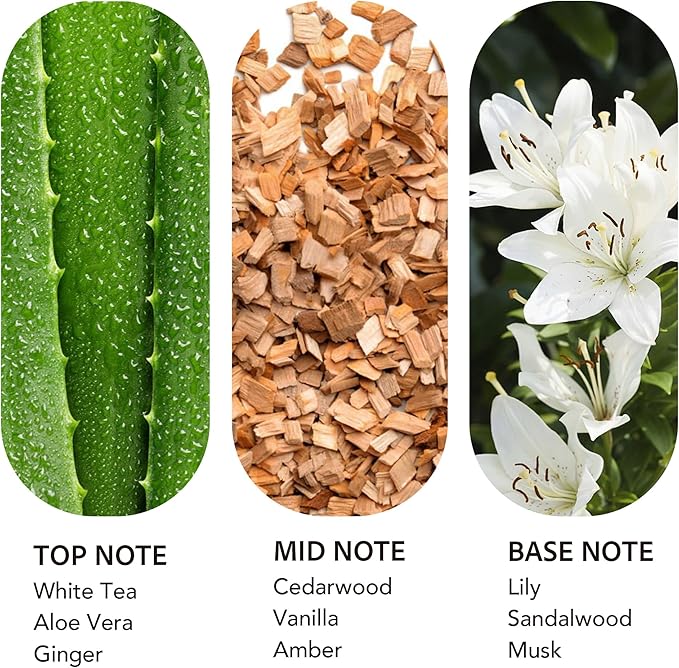 Luxury Hotel Scent Dream On Diffuser Oil Waterless Essential Aromatherapy for Cold Air & Car Diffusers – Long Lasting Refill for Large Room & Home - Non Toxic, Signature White Tea (500ml/16.9Fl oz)