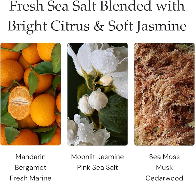 Sea Salt & Jasmine Single Wick Soy Candles, Luxury Scented Candles for Home - Up to 60 Hour Burn Time, Cruelty-Free Soy Wax Blend - Beach Fragrance, Notes of Jasmine & Sea Salt (9 oz)