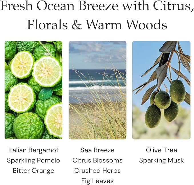 Coastal Sunset Single Wick Soy Candles, Luxury Scented Candles for Home - Up to 60 Hour Burn Time, Cruelty-Free Soy Wax Blend - Bergamot Fragrance, Notes of Pomelo & Orange (9 oz)