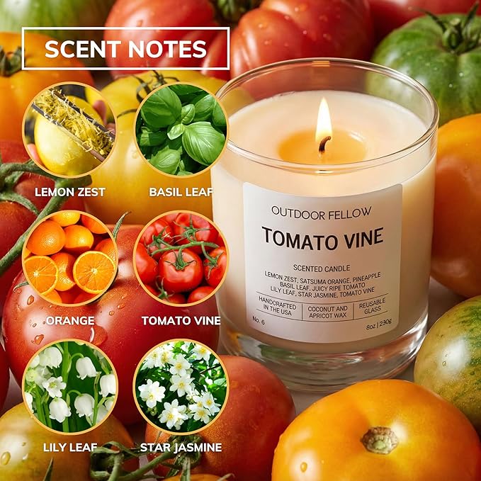 Outdoor Fellow Tomato Vine Scented Candle – 8oz Coconut Wax Blend – Strong Scent Throw – Inspired by Backyard Tomato Plants – Luxury Tomato Leaf Candle in Reusable Glass Jar