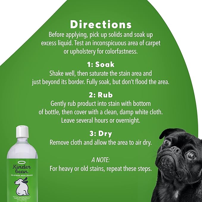 Kinderbean Dog & Cat Urine Stain and Odor Eliminator for Carpet, Upholstery, Hard Floors - Single 32 oz., Grapefruit & Thyme Scent, Enzyme Bio-Active Formula with Squeeze and Spray Top