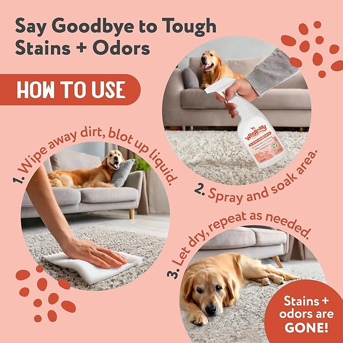 Wee Away X2 Ultra-Concentrated Stain & Strong Odor Eliminator, Enzyme Cleaner, Pet Odor Eliminator for Home - Dog Urine Destroyer - Carpet Cleaner Spray, Natural Scent, 16 fl oz