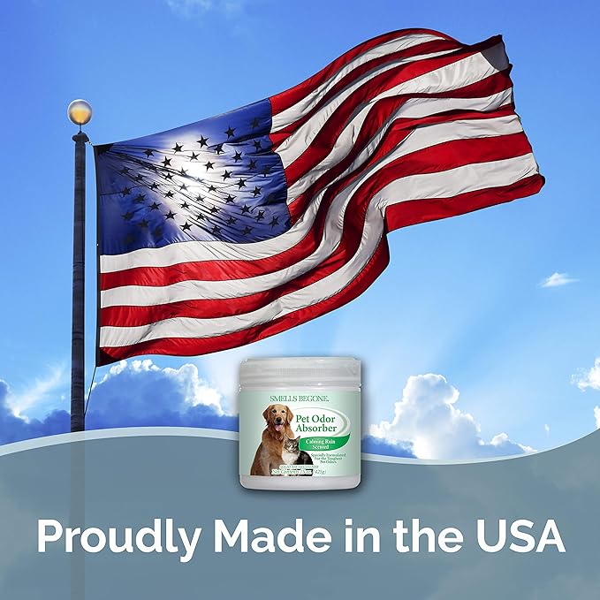 SMELLS BEGONE 15oz Gel Odor Eliminator - Absorb & Remove Tough Odors in Pet Areas, Bathrooms, Basements, Garage, Cars, RVs & Boats - Eliminate Odors Quickly (1-Pack, Pet Calming Rain)