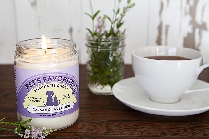Pet's Favorite Pet Odor Candle, Clean Burning, Long Lasting Scented Candles with a Cotton Wick. (Calming Lavender, Pack of 2)