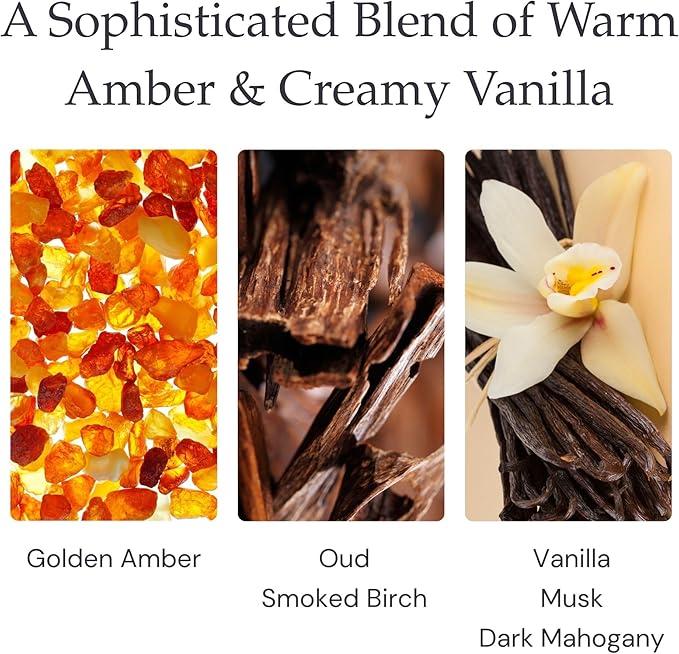 Amber Vanilla Fragrance - Single Wick Soy Candles - Up to 60 Hour Burn Time, Cruelty-Free Soy Candle Wax Blend - Warm Golden Amber & Vanilla Fragrance (9 oz)