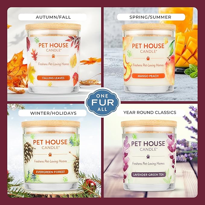 One Fur All Pet House Fall Candles, Long Lasting, Clean Burning, Soy Wax Scented Candles for Pet Odor, Autumn Harvest