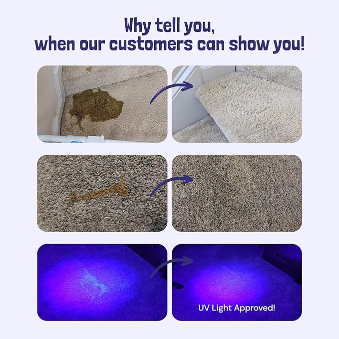 Sunny & Honey Pet Stain & Odor Miracle - Fast Acting Carpet Stain Remover & Urine Odor Eliminator - Enzyme Upholstery Cleaner Spray - For Upholstery, Couch & Mattress (32 fl oz, Light Lavender)