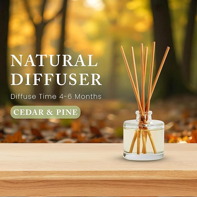 Hillhouse Naturals Reed Diffuser Set - Cedar & Pine Scent Diffuser - Reed Diffusers for Home with Long Lasting Fragrance – 4 oz Oil – Diffuse Time 4-6 Months – Made in The USA