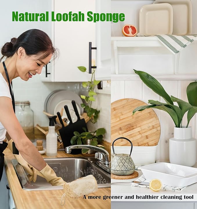 HONSVA Large Natural Dish Scrubber, Loofah Dishwashing Sponge (6 Pcs), No Scratch for Dish, Large Size 5.2"L*3.2"W, Loofah Plant Kitchen Eco-Scrubber, Zero Waste and Eco Friendly Sponges, Unbleached.