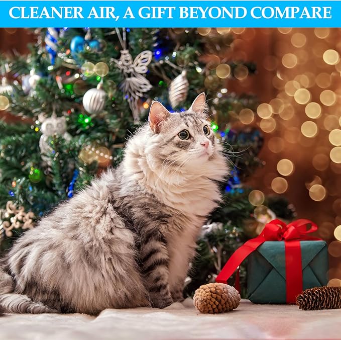 Morrerfresh Cat Litter Deodorizer Air Ionizer Ozone Generator Odor Eliminator for Home Pets Litter Box Room Toilet Garage Air Purifier or Car, Rooms, Smoke 99% Pets Poof Odor Eliminator Odor Removal