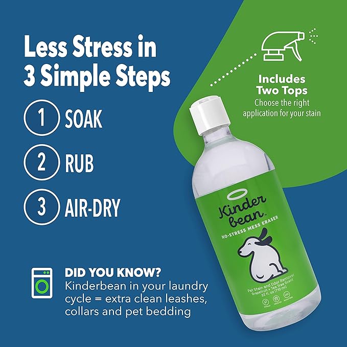 Kinderbean Dog & Cat Urine Stain and Odor Eliminator for Carpet, Upholstery, Hard Floors - Single 32 oz., Grapefruit & Thyme Scent, Enzyme Bio-Active Formula with Squeeze and Spray Top