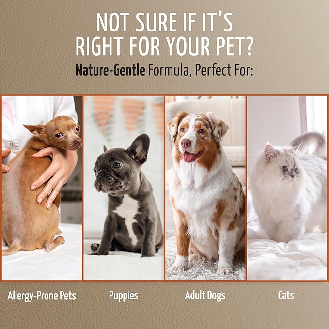 Tauro Pro Line Dog Conditioner for Allergies and Itching - Soothes & Hydrates Dry, Itchy, or Allergy-Prone Skin, Gentle Pet Conditioner for Dogs, Cat & Puppy (Derma Care 13.5 Fl Oz)
