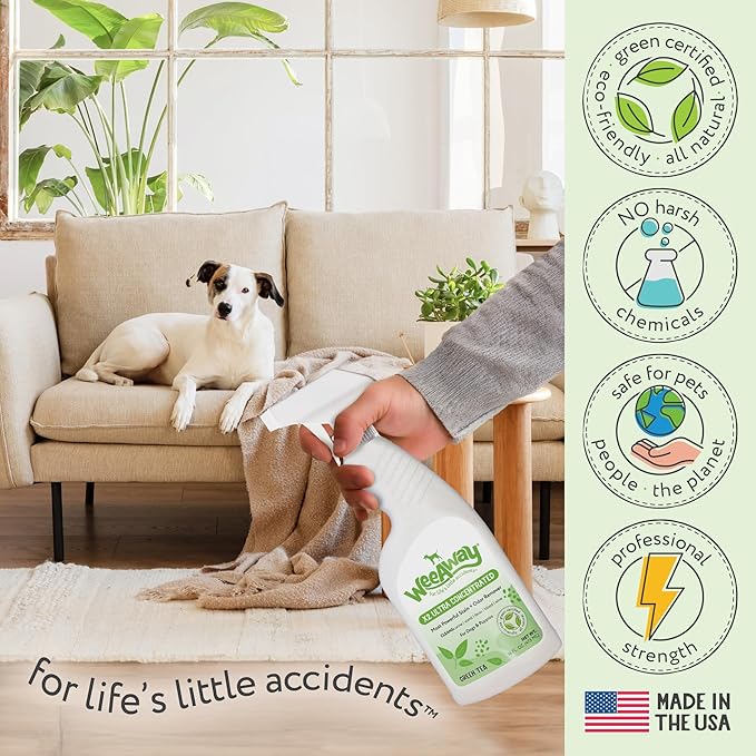 Wee Away X2 Ultra-Concentrated Stain & Strong Odor Eliminator, Enzyme Cleaner, Pet Odor Eliminator for Home - Dog Urine Destroyer - Carpet Cleaner Spray, Green Tea Scent, 16 fl oz