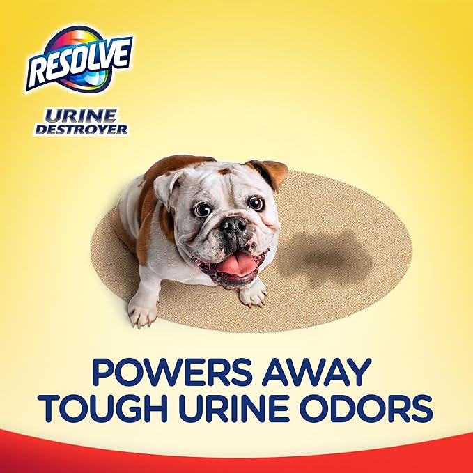 Resolve Carpet Concentrate for Steam Urine Destroyer, Carpet Cleaner Solution, Carpet Cleaner, Pet Stain and Odor Remover, 60 Fl Oz