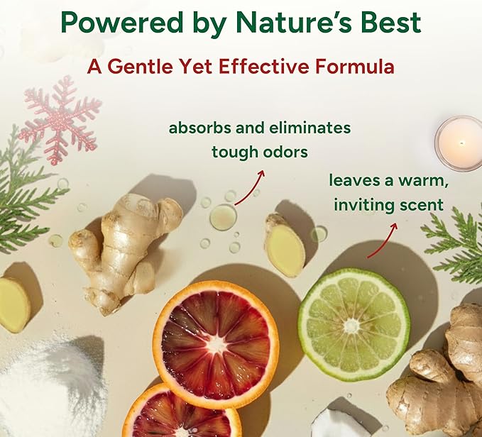 Good Natured Brand | Carpet Deodorizer & Freshener Powder | 31 oz Pet Odor Eliminator for Strong Odor & Pet Urine | Fresh Natural Fireside Spice Scent | Safe for Homes with Pets