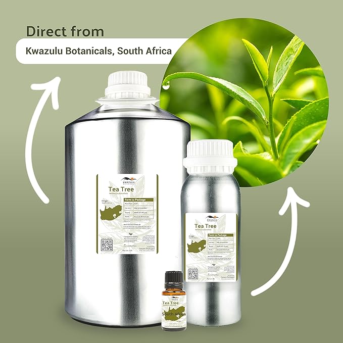 Tea Tree Essential Oil - Direct from Kwazulu Botanicals South Africa - Steam Distilled - Aceite Esencial de Árbol de Té for Aromatherapy, Diffuser, DIY Candle and Soap Making - 2lbs