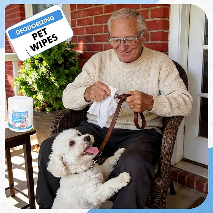Swiffen 320-count (2 Pack of 160) Cleaner & Deodorizer Wipes for Litter Box Kennels Pet Grooming Surfaces Pet Items Deodorizes Wipes Canister Unscented