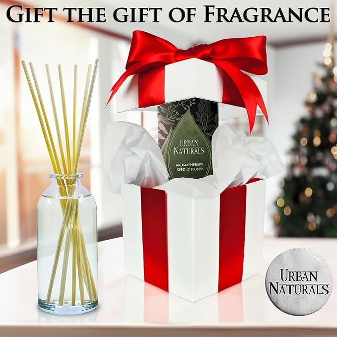 Urban Naturals Cedarwood & Vanilla Reed Diffuser Set | Made with Essential Oils & Real Botanicals | Cedar, Vanilla, Oak and Moss | Made in The USA