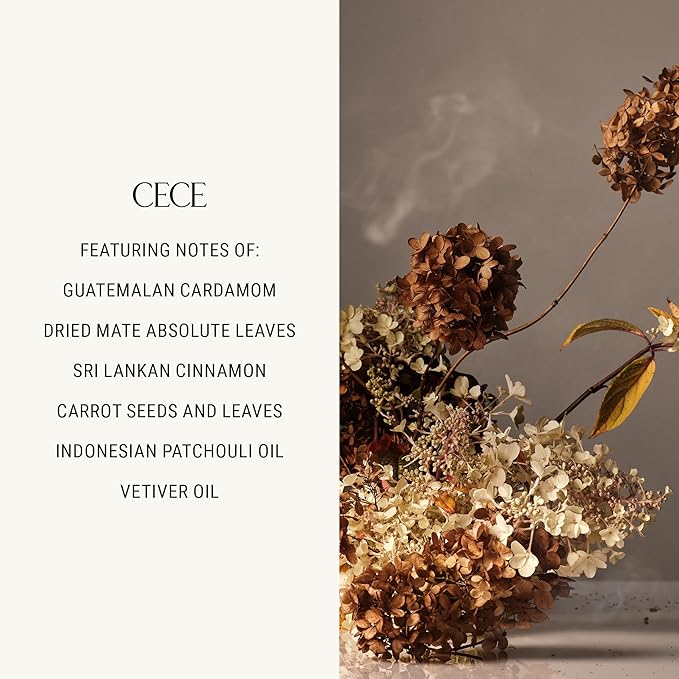 Homecourt All-Purpose Surface Cleaner Spray, Lifts Away Dirt, Smudges & Grease, For Bathroom, Kitchen & more, Clean Formula, Cece, 16 fl oz