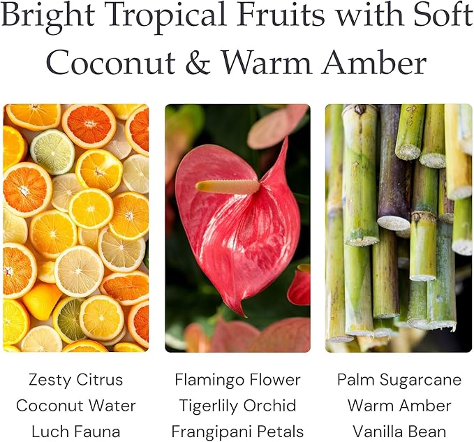 Tropical Essence Single Wick Soy Candles, Luxury Scented Candles for Home - Up to 60 Hour Burn Time, Cruelty-Free Soy Wax Blend - Floral Fragrance, Notes of Coconut & Citrus (9 oz)