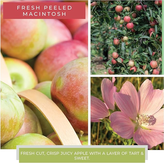 A Cheerful Giver - Fresh Peeled Macintosh Mama Scented Glass Jar Candle (22oz) with Lid & True to Life Fragrance Made in USA
