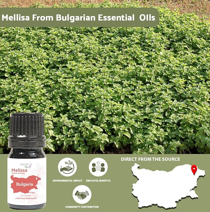 Melissa Essential Oil - Direct from Bulgarian Essential Oils in Bulgaria - Pure Essential Oil for Diffusers and Aromatherapy | 100% Pure Therapeutic Grade (2LBS)