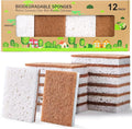 PANYEE Biodegradable Natural Kitchen Sponge，Eco Friendly Sponges for Dishes,Compostable Cellulose Sponge with Natural Plant Based Coconut Walnut Sustainable Scrubber Pack of 12