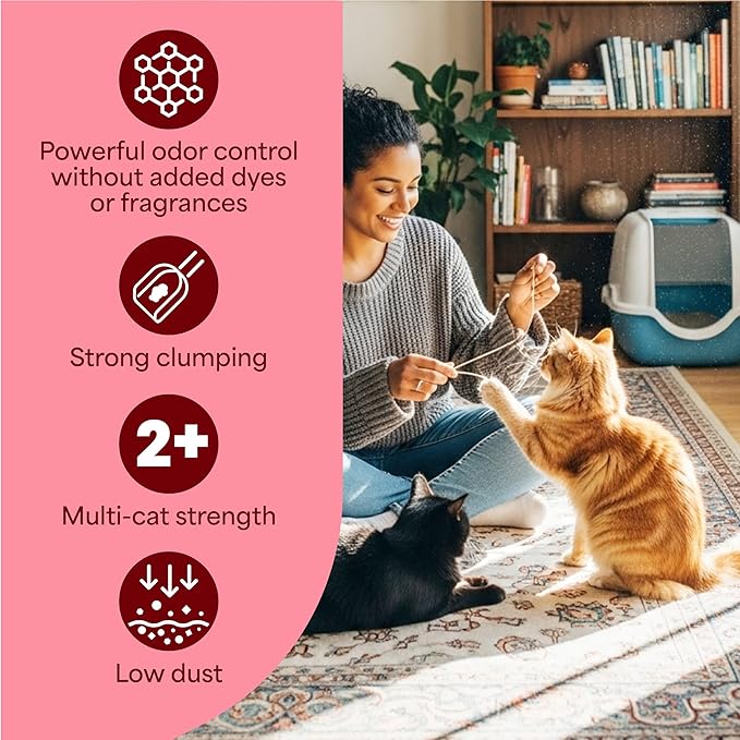Fresh Step Advanced Simply Unscented Clumping Litter, Fresh Step Unscented Cat Litter Fights Odor on Contact, 18.5 lb. Box