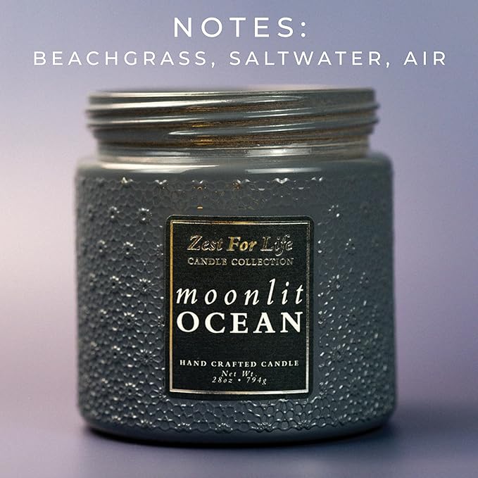 A Cheerful Giver - 28oz Large Scented Candle Jar with Lid- Zest for Life - 130 Hours of Burn Time, Gift for Women (Large, Moonlit Ocean)