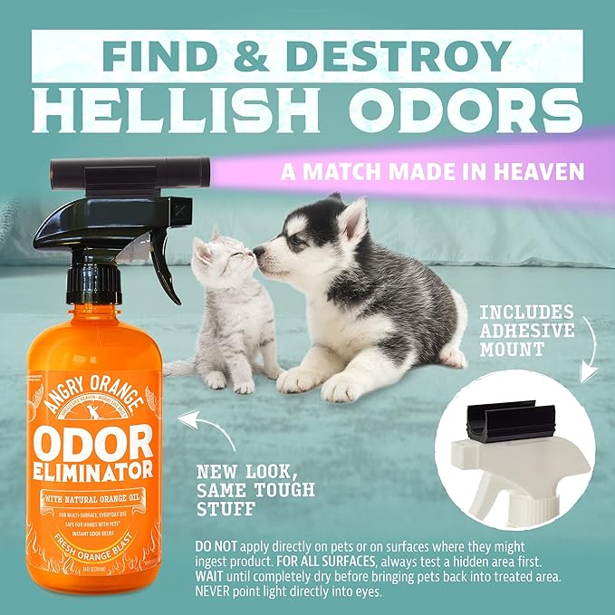 ANGRY ORANGE Pet Odor Eliminator Kit for Dog/Cat Urine - Citrus - 24 oz + UV Flashlight