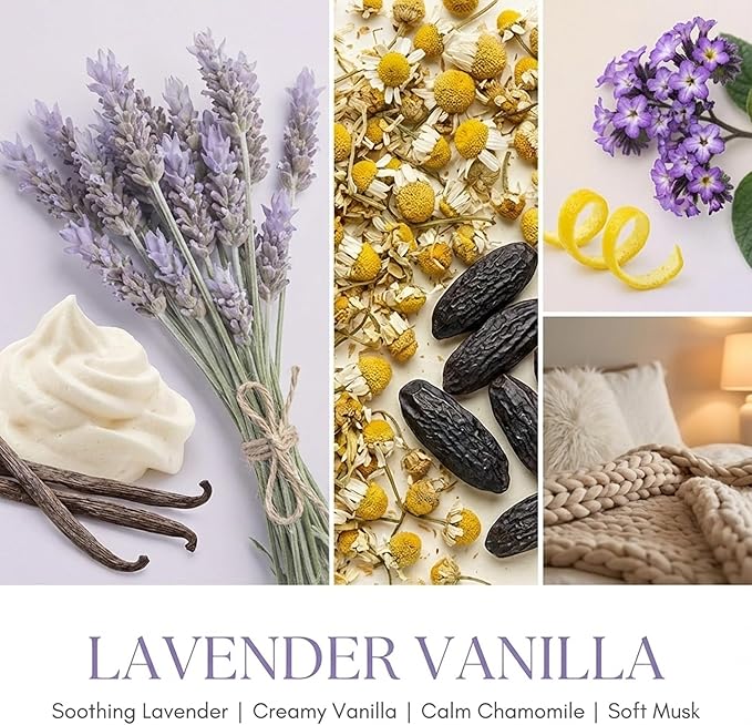 HomeLights Soy Wax Candles for Home Scented, 1-Wick Candles in Lavender Vanilla Scented, Aromatherapy Candles Gift for Parties, Relaxing, Bohemian Natural Textures, 6.7oz