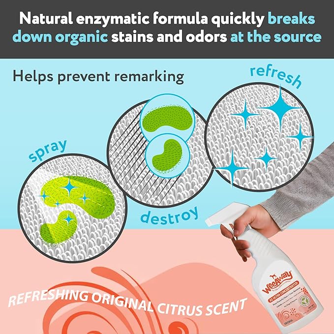 Wee Away X2 Ultra-Concentrated Stain & Strong Odor Eliminator, Enzyme Cleaner, Pet Odor Eliminator for Home - Cat & Kitten Urine Destroyer, Original Citrus Scent, 16 fl oz