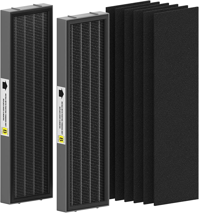 FMDZFL Filter B Smoke Clear HEPA Replacement Compatible with AC4825 AC4300 AC4800 AC4900 AC4850, 2 True HEPA Filters & 6 Activated Carbon Pre-Filters, FLT4825SM, Black/Gray
