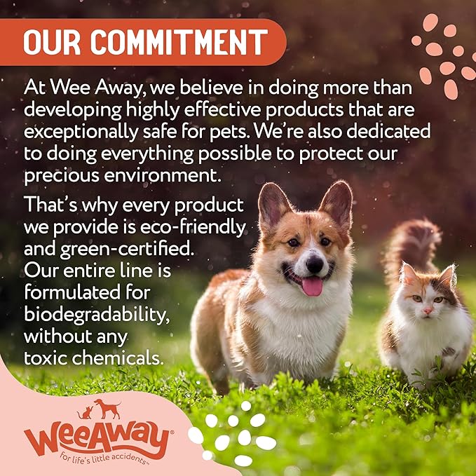 Wee Away X2 Ultra-Concentrated Stain & Strong Odor Eliminator, Enzyme Cleaner, Pet Odor Eliminator for Home - Cat & Kitten Urine Destroyer, Original Citrus Scent, 16 fl oz