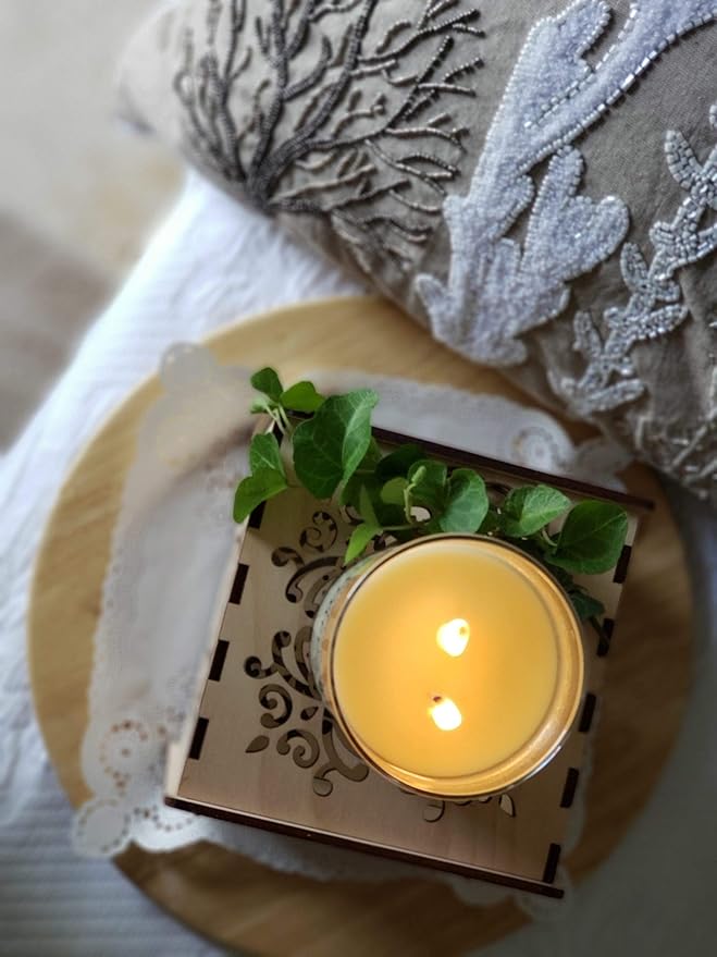 Premium Scented 100% Soy Candle - Cider + Mulled Spices - Long Lasting 65+ Hour Burn Time Glass - Hand Poured in USA by Seventh Avenue Apothecary