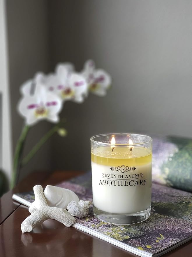 Premium Scented 100% Soy Candle - Cider + Mulled Spices - Long Lasting 65+ Hour Burn Time Glass - Hand Poured in USA by Seventh Avenue Apothecary