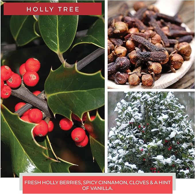 A Cheerful Giver - Holly Tree Baby Scented Glass Jar Candle (6oz) with Lid & True to Life Fragrance Made in USA