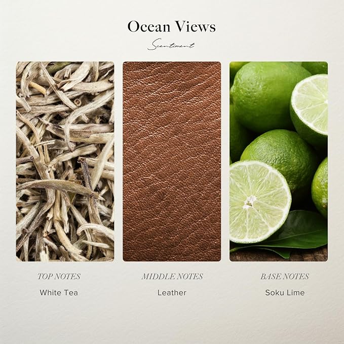 Scentiment Diffuser Oil - Ocean Views | Aromatherapy Home Fragrance | Inspired by Confidante® Andaz Miami Beach | Luxurious Scent with Notes of White Tea, Leather, Soku Lime (120 mL)