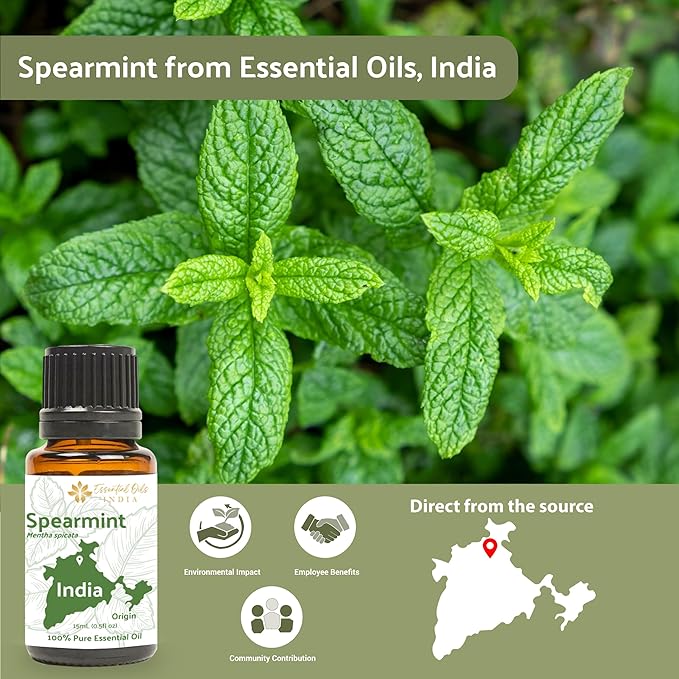 Spearmint Essential Oil - Direct from Essential Oils India - Steam Distilled - Aceite Esencial de Menta Verde for Aromatherapy, Massage, Diffuser, DIY Candle and Soap Making - 8oz