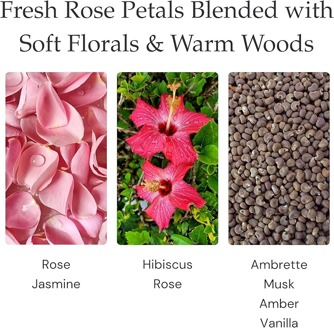 English Rose Single Wick Soy Candles, Luxury Scented Candles for Home - Up to 60 Hour Burn Time, Cruelty-Free Soy Wax Blend - Floral Rose & Jasmine Fragrance (9 oz)