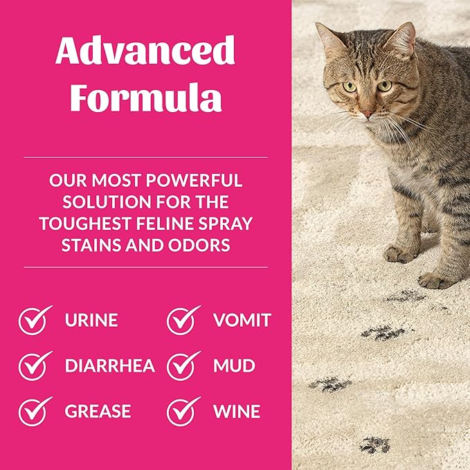 Skout's Honor Cat Severe Mess Stain & Odor Remover - Advanced Formula for Tackling the Worst Cat Messes, Eco-Friendly Formula for Carpets and Home, 35 oz