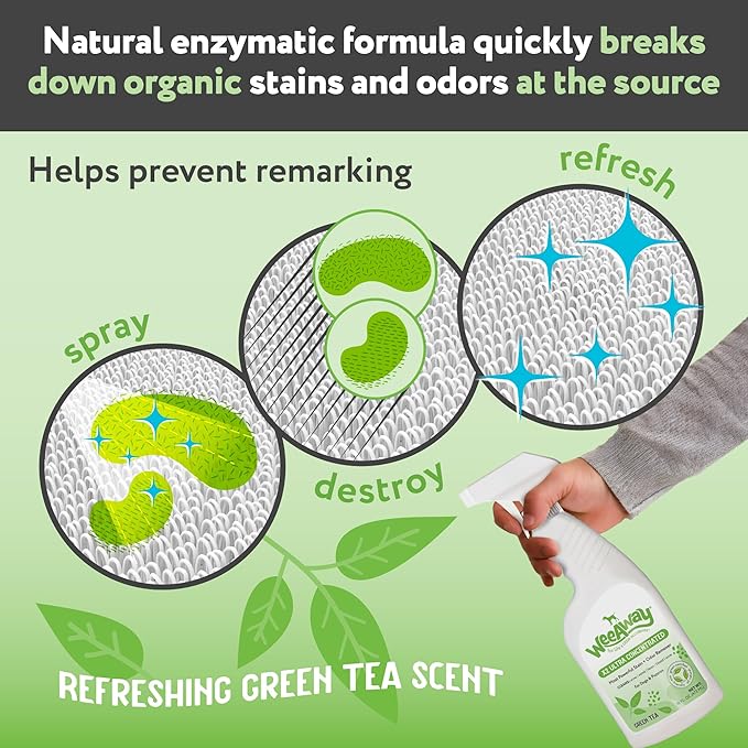 Wee Away X2 Ultra-Concentrated Stain & Strong Odor Eliminator, Enzyme Cleaner, Pet Odor Eliminator for Home - Dog Urine Destroyer - Carpet Cleaner Spray, Green Tea Scent, 16 fl oz