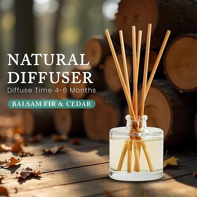 Hillhouse Naturals Reed Diffuser Set - Balsam Fir & Cedar Scent Diffuser - Reed Diffusers for Home with Long Lasting Fragrance – 4 oz Oil – Diffuse Time 4-6 Months – Made in The USA
