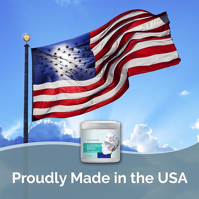 SMELLS BEGONE 15oz Gel Odor Eliminator - Absorb & Remove Tough Odors in Pet Areas, Bathrooms, Basements, Garage, Cars, RVs & Boats - Eliminate Odors Quickly (1-Pack, Soothing Breeze)