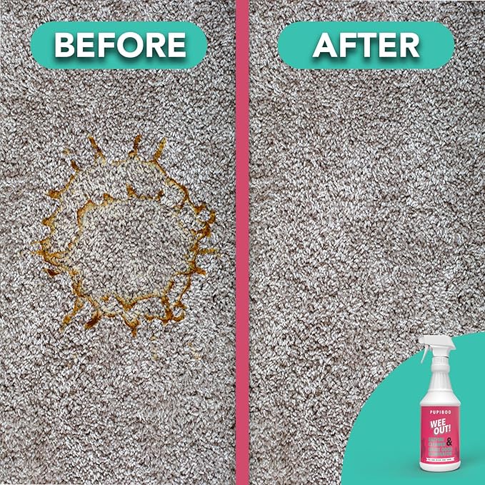PUPIBOO Wee Out Pet Urine Enzyme Cleaner, Stain and Odor Eliminator for Carpets, Upholstery, Floors