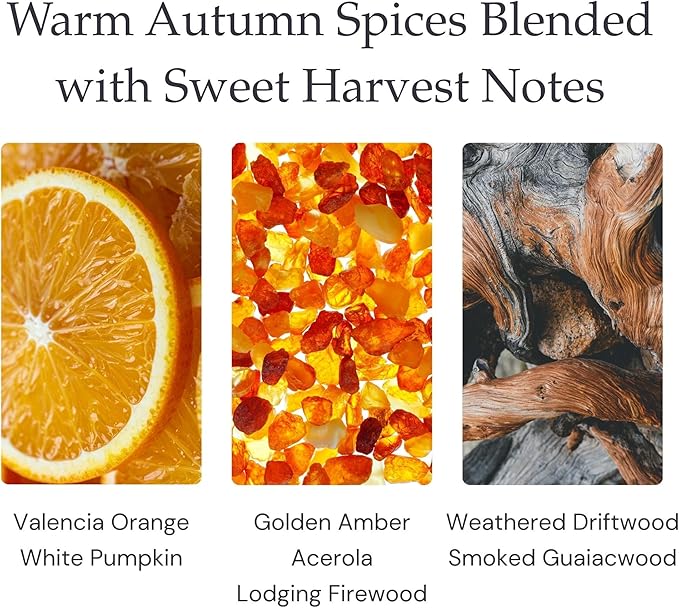 Harvest Festival Fragrance - Single Wick Soy Candles - Up to 60 Hour Burn Time, Cruelty-Free Soy Candle Wax Blend - Pumpkin Fragrance, Notes of Amber & Orange (9 oz)
