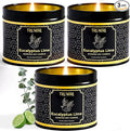 Eucalyptus Candle with Lime Strong Scented Soy Candel Natural Non Toxic Velas Aromáticas for Home Gift for Fall Christmas Holidays Pack of 3 5Oz Decorative Tin Jars with Lids