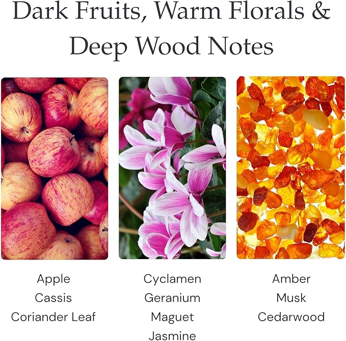 Night Blossom Single Wick Soy Candles, Luxury Scented Candles for Home - Up to 60 Hour Burn Time, Cruelty-Free Soy Wax Blend - Jasmine Fragrance, Notes of Apple & Musk (9 oz)