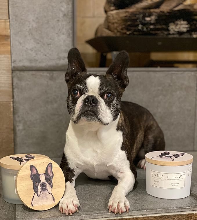 Sand + Paws Scented Candle - Pineapple Coconut - Additional Scents and Sizes –Luxurious Air Freshening Jar Candles Neutralize pet Odors and Enhance Home décor – 100% Cotton Lead-Free Wicks - 21 oz