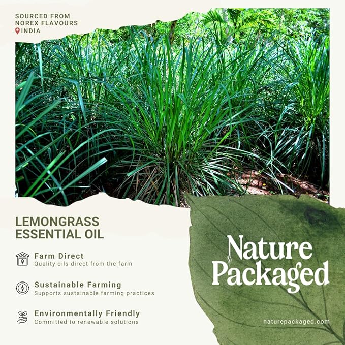 Lemongrass Essential Oil - Natural Aceite de Hierba Limón from Norex Flavours India - Lemongrass Essential Oils for Hair, Aromatherapy and Massage (8oz)